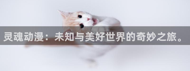 4k动漫屋：灵魂动漫：未知与美好世界的奇妙之旅。