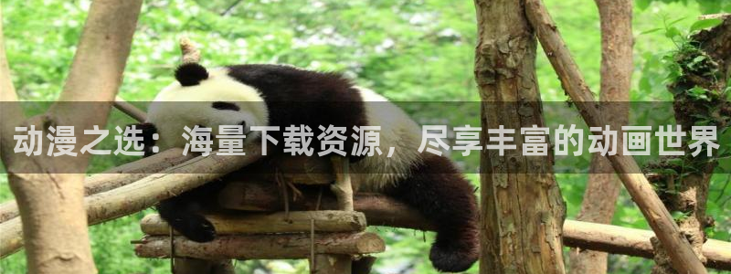 动漫屋网站：动漫之选：海量下载资源，尽享丰富的动画世界