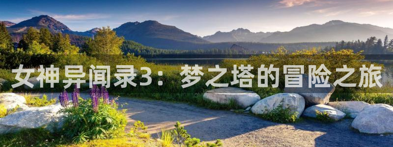 日本动漫屋：女神异闻录3：梦之塔的冒险之旅