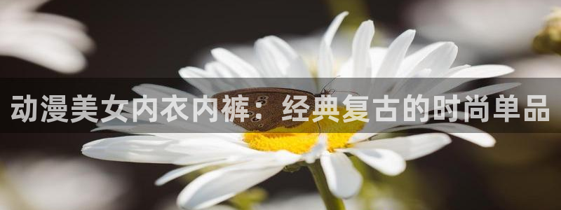 动漫屋官网下载：动漫美女内衣内裤：经典复古的时尚单品